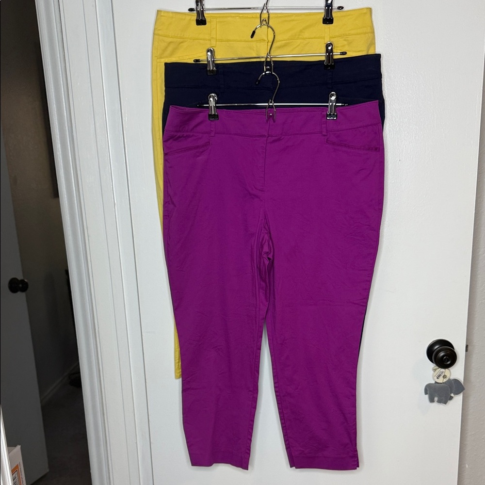 New York & Company Women’s Yellow, Purple, & Navy Capris